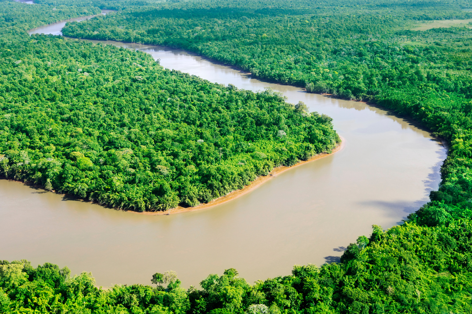 Amazonian scene